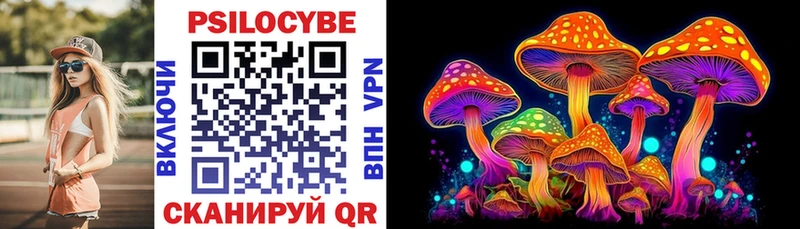 Купить где  Тогучин  Галлюциногенные грибы мицелий 